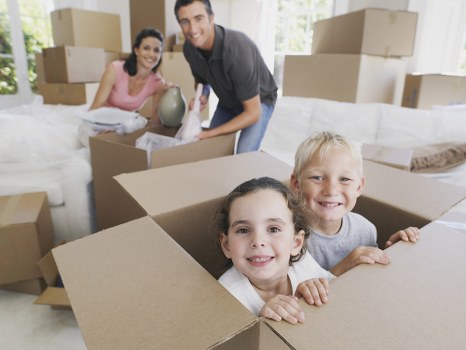 Selsdon van service for home or business deliveries